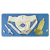 UROCARE Male Urinal Kit with Garment and Sheath Standard Small, Lightweight, Latex