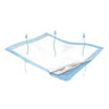 Cardinal Health Wings Breathable Underpad, 30 in x 36 in, 984
